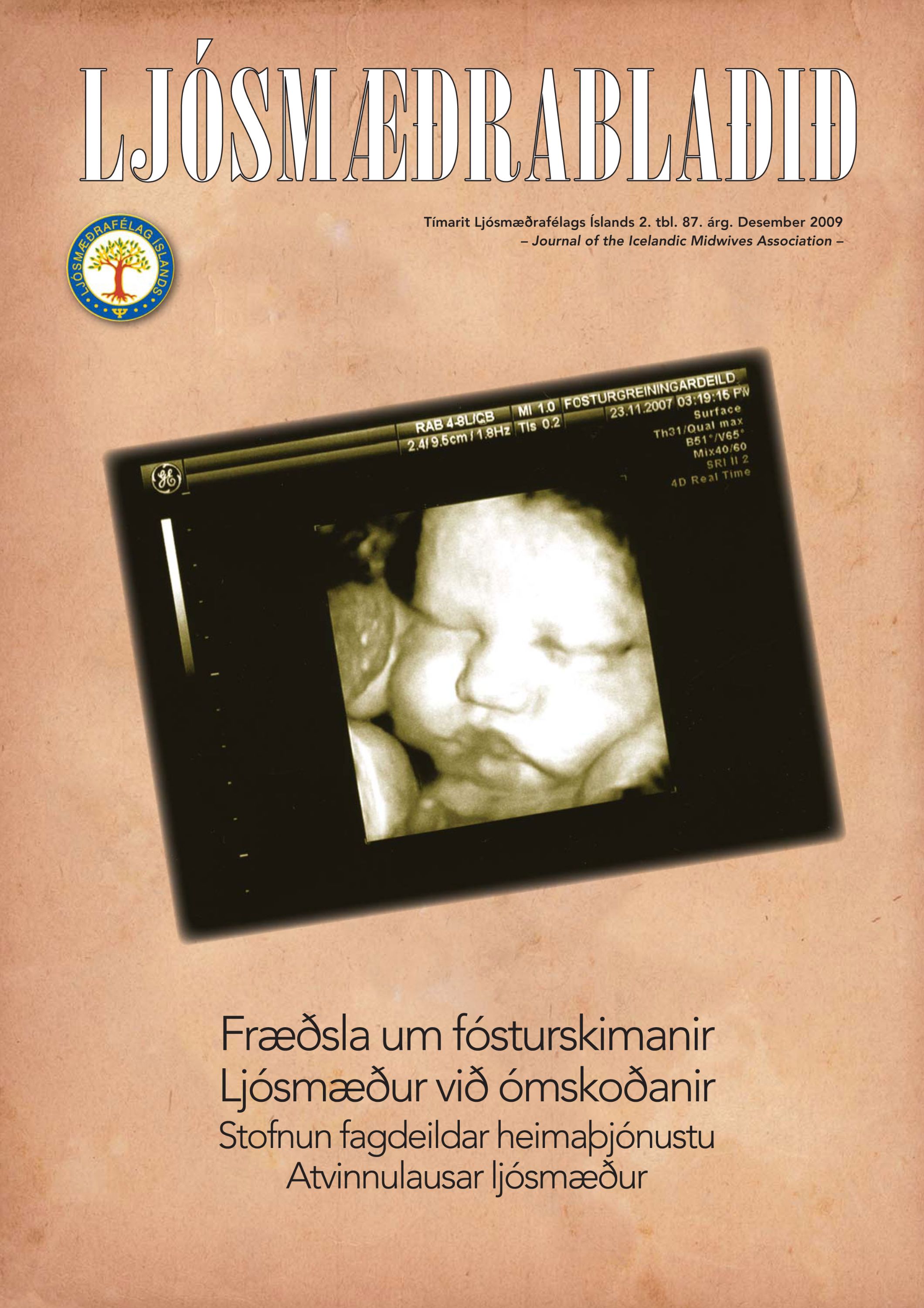 LMFI-2tbl-2009.jpg
