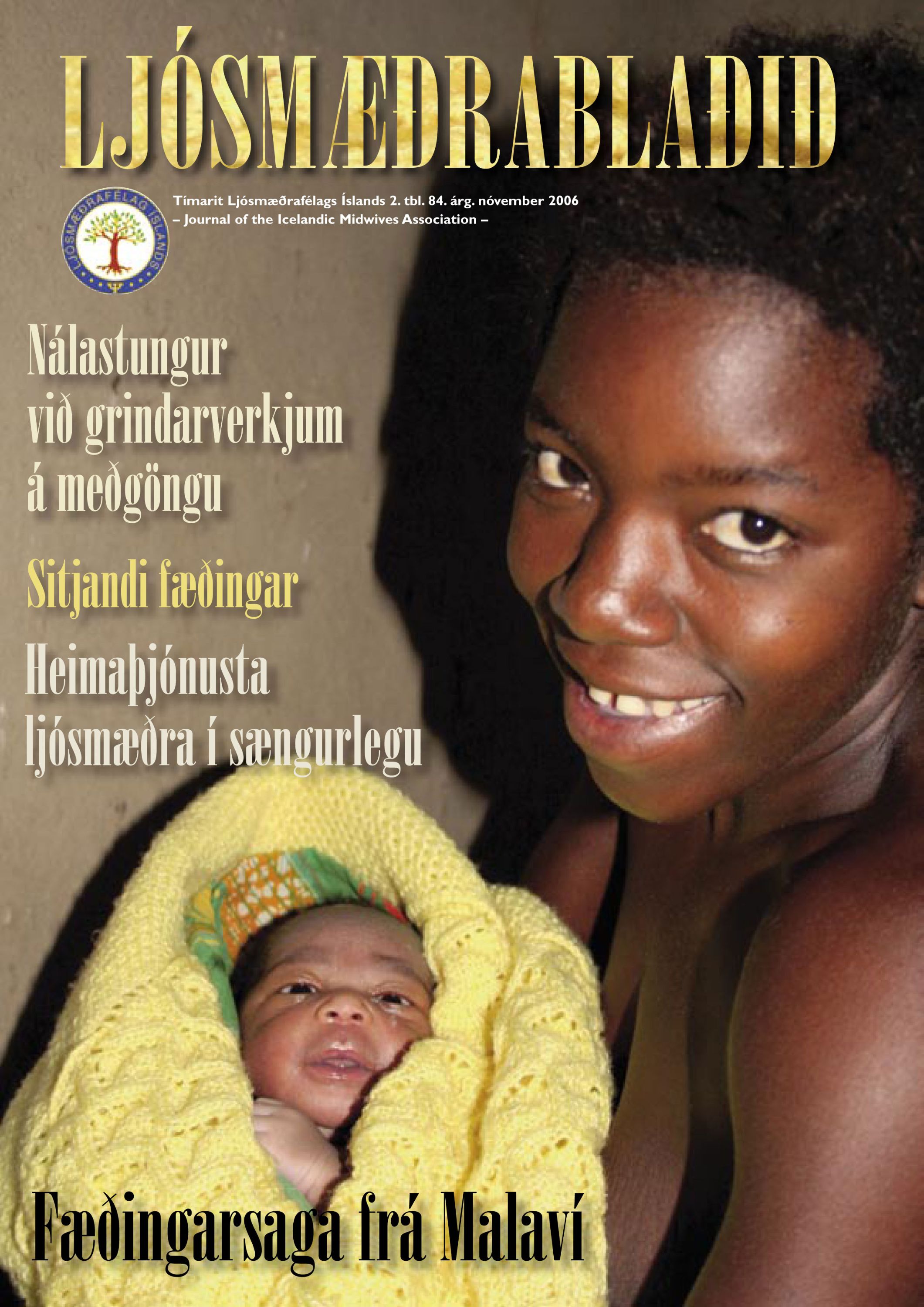 LMFI-2tbl-2006.jpg