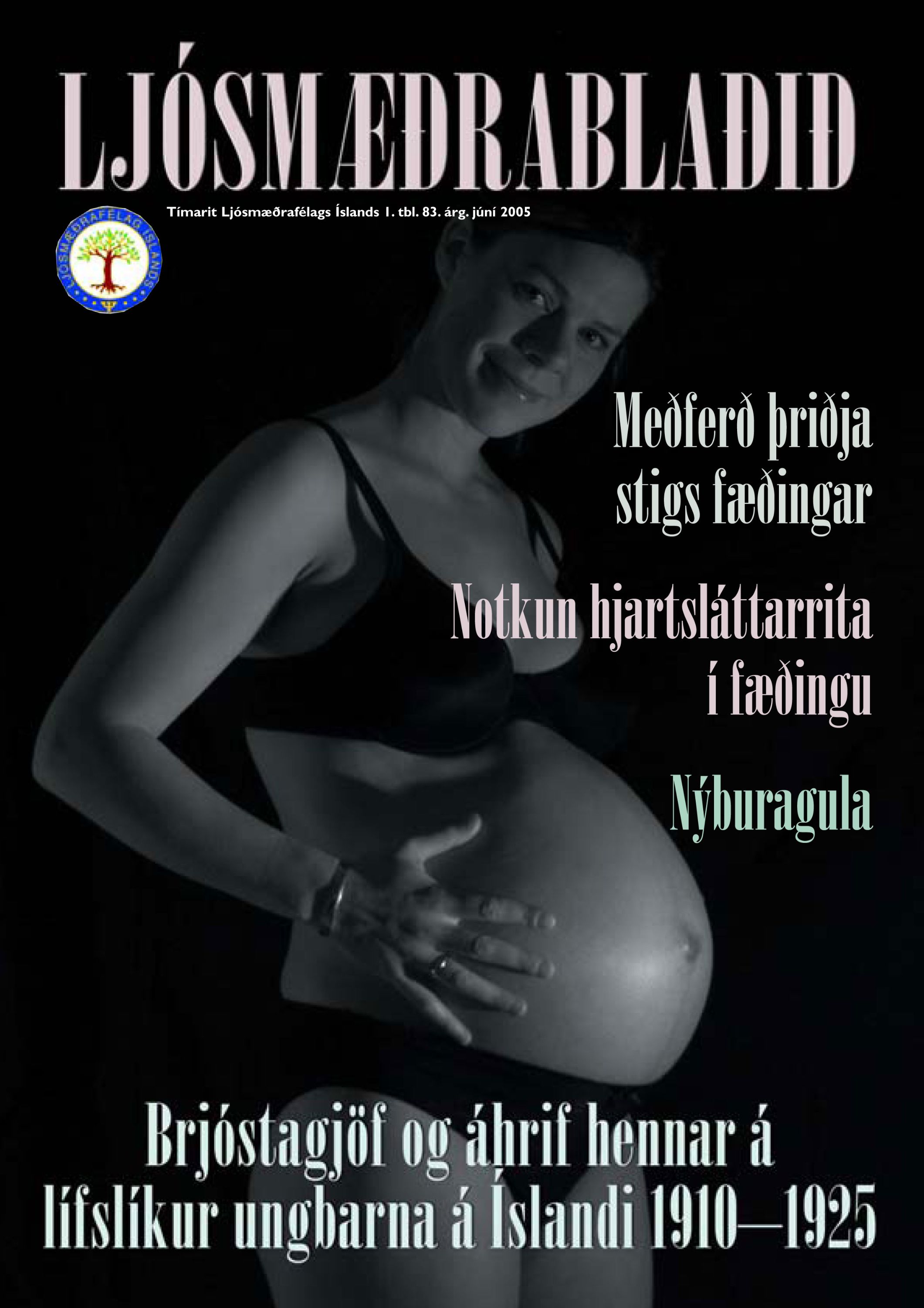 LMFI-1tbl-2005.jpg